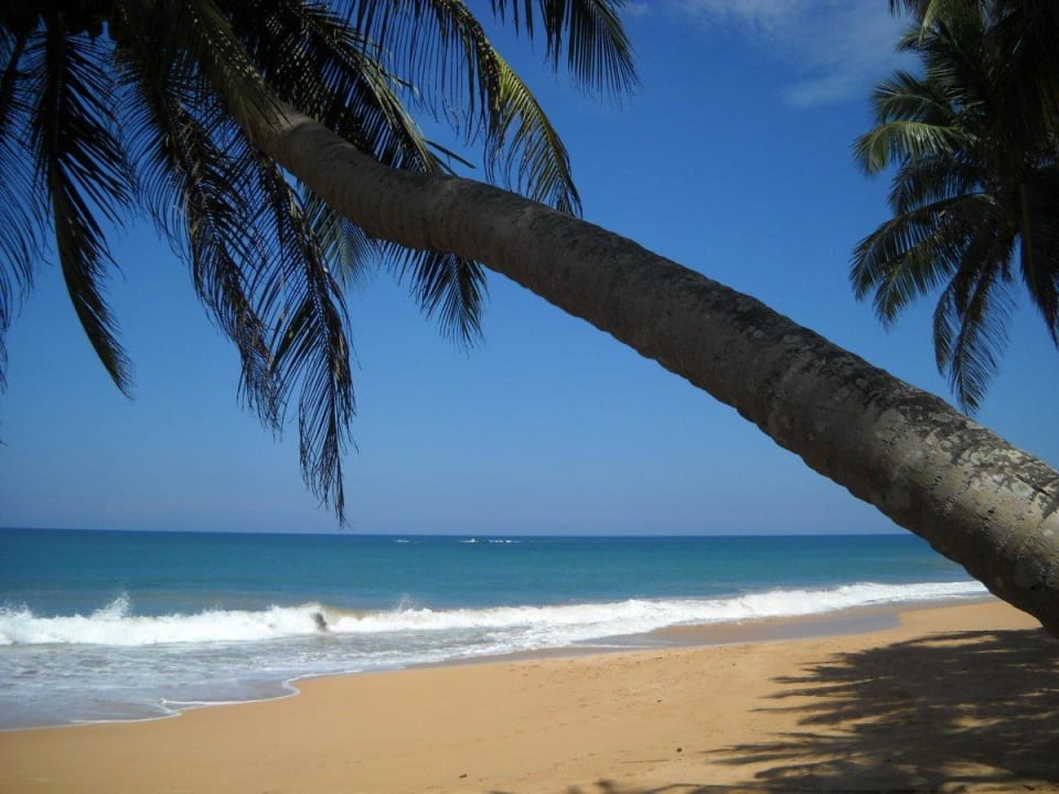 StrandVillaSafira Villa Safira Ayurveda Residence