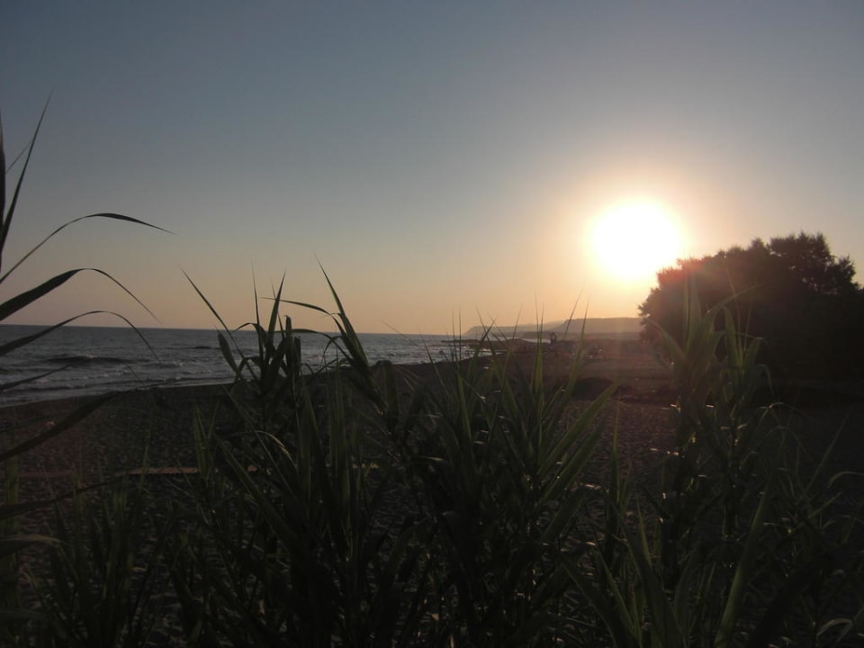 Sonnenaufgang allsun Hotel Carolina Mare