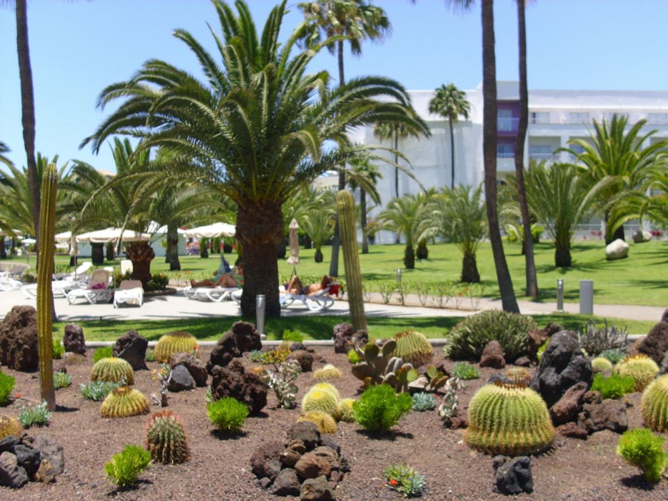 Innenhof Hotel Riu Gran Canaria