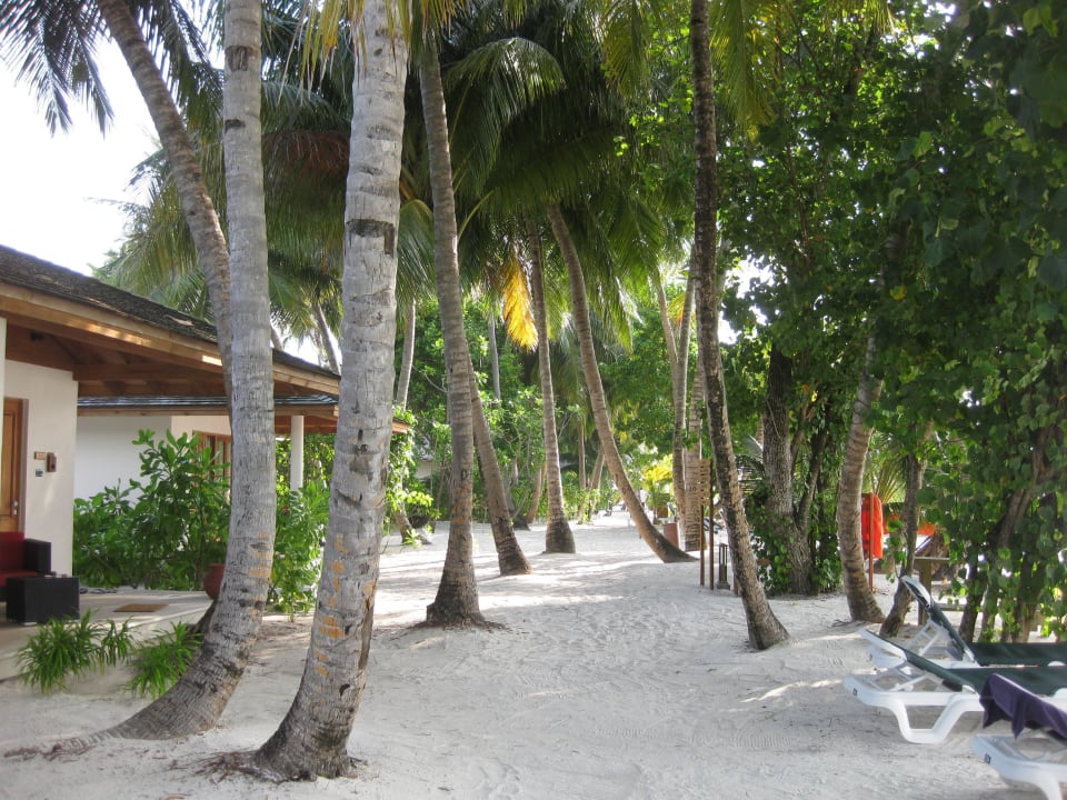 Beachvillen Vilamendhoo Island Resort & Spa