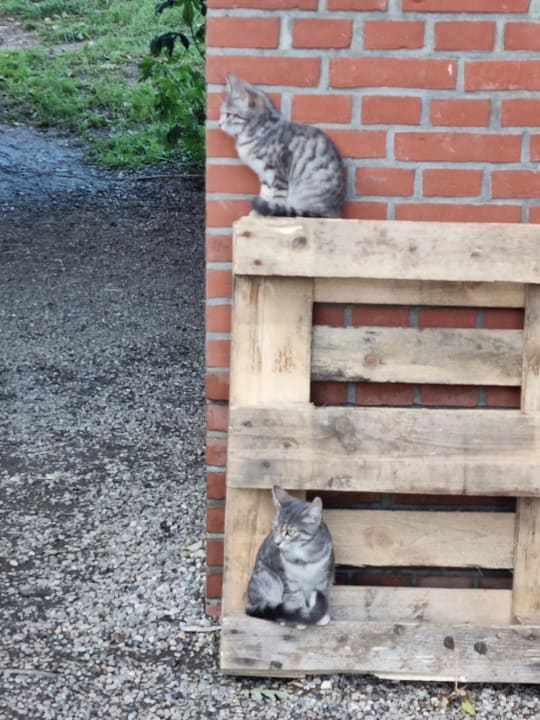 Sonstiges Ferienhof Lehbekwiese