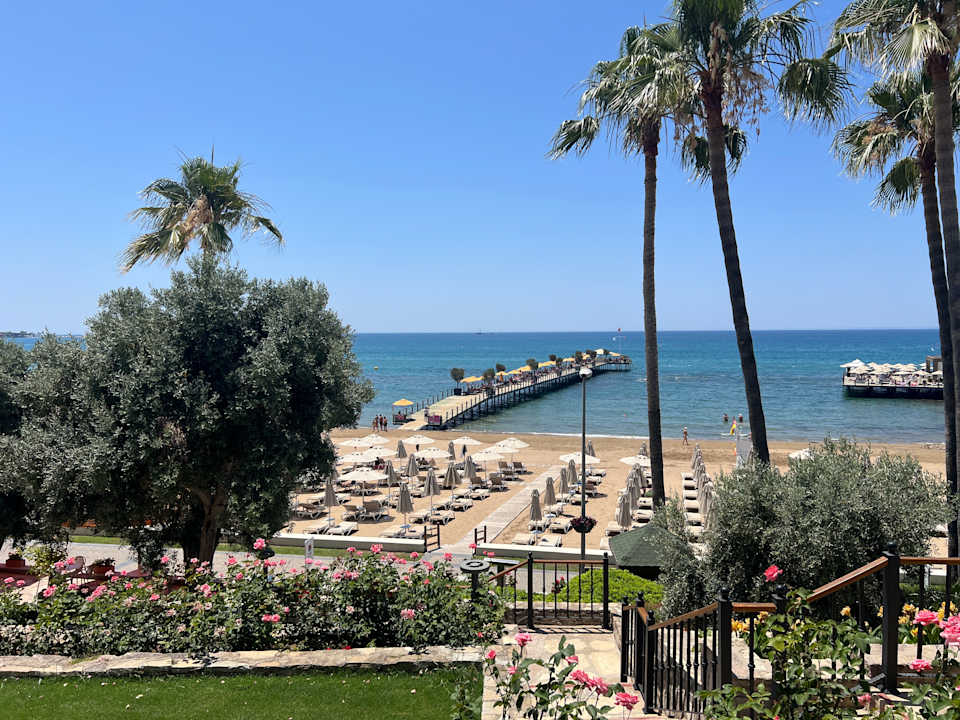 Ausblick Arum Barut Collection