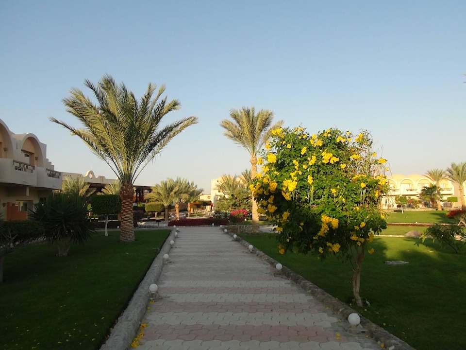 Ogród Three Corners Sea Beach Resort