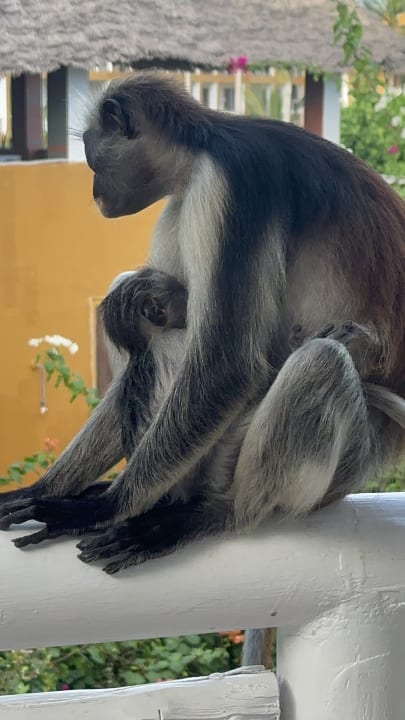 Sonstiges Reef & Beach Resort