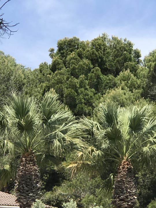 Strand HSM Lago Park