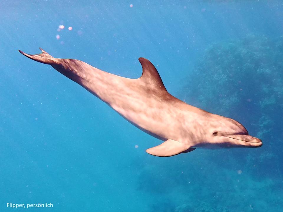 Sonstiges Utopia Beach Club