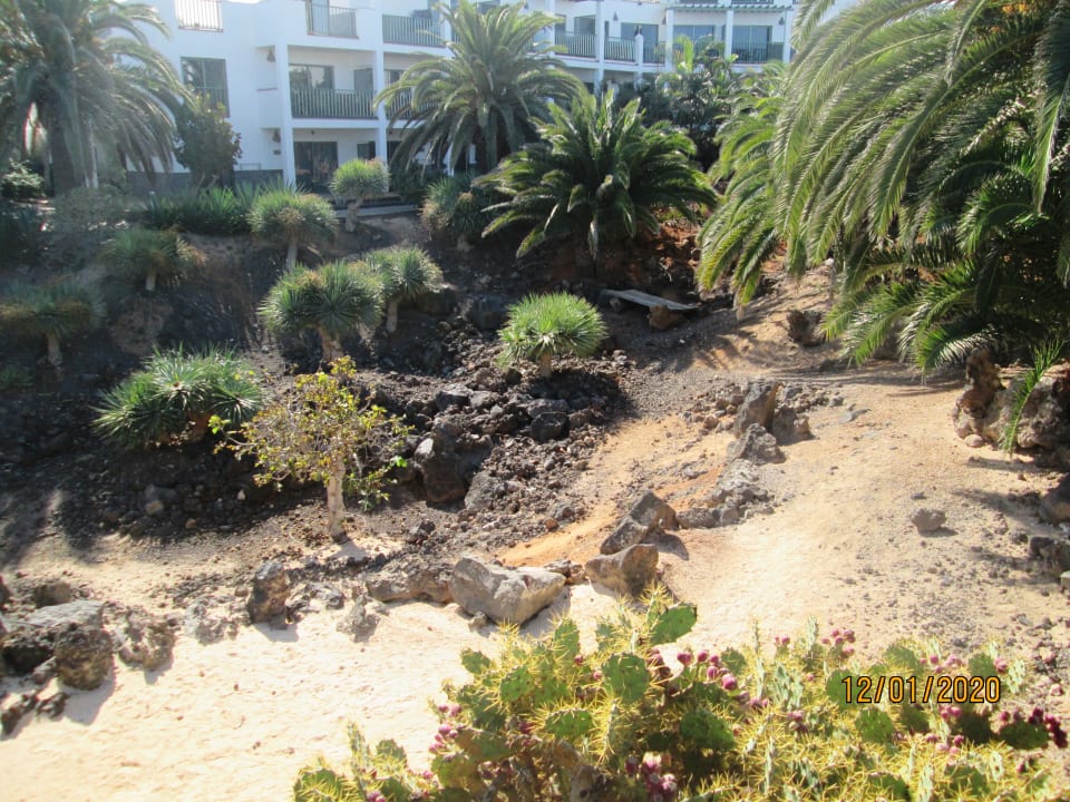 Gartenanlage Hotel Las Marismas de Corralejo