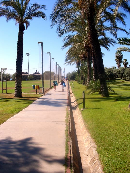Der weg zum Strand Blue Waters Club