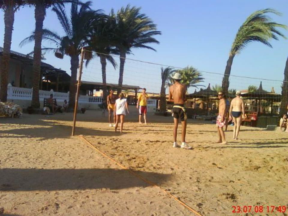 Volleyball  Beach Albatros Resort