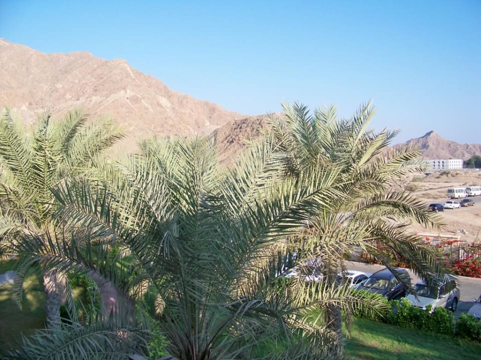 Blick auf die  Berge Miramar Al Aqah Beach Resort