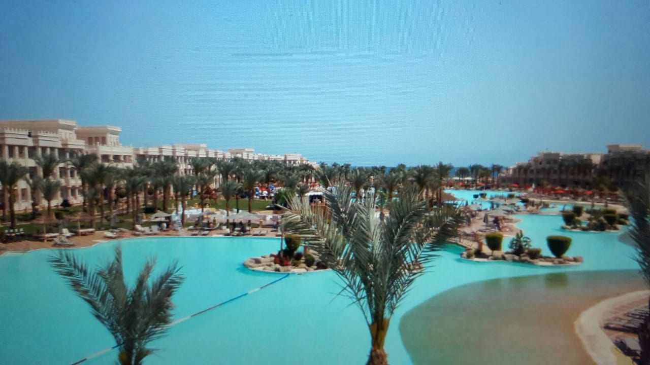 Pool  Pickalbatros Palace Resort