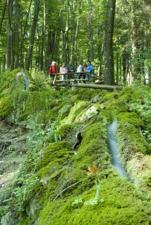 Wandern Parkhotel Altmühltal