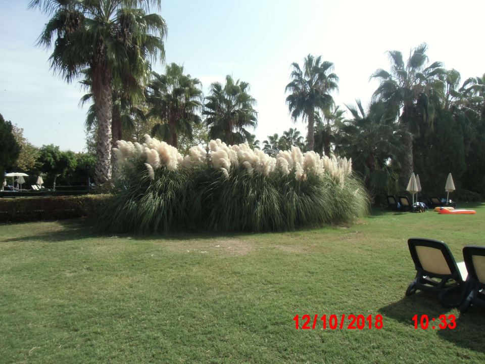 Gartenanlage Trendy Aspendos Beach Hotel