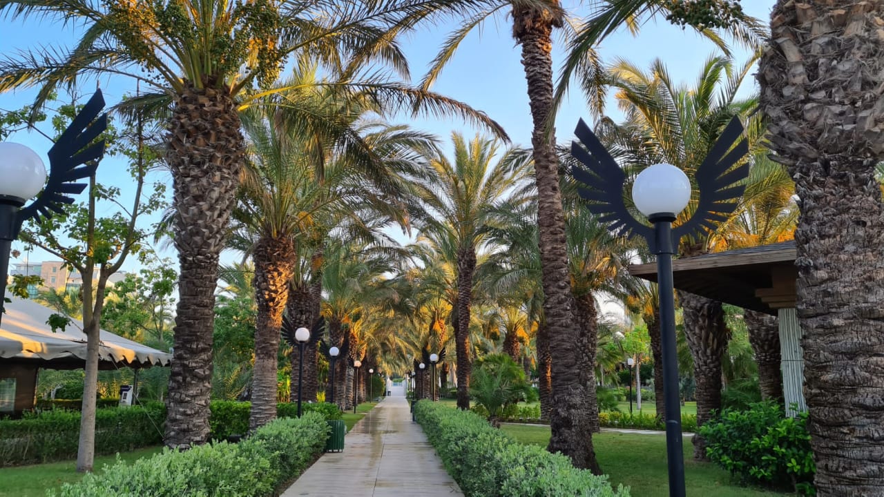 Gartenanlage Royal Wings Hotel