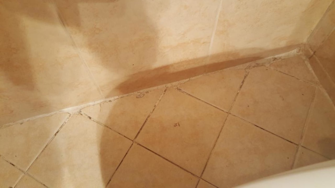 Zimmer Ghazala Gardens