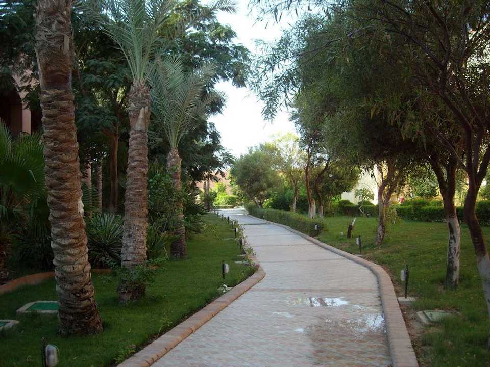 Makadi Oasis Jaz Makadi Oasis Resort