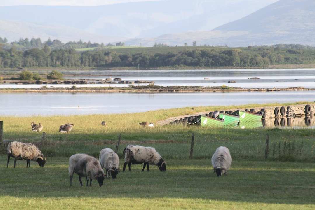 Ausblick Corrib Wave Guesthouse