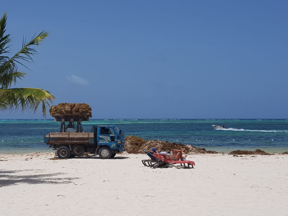 Strand Lopesan Costa Bávaro Resort, Spa & Casino