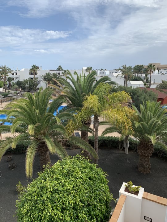 Gartenanlage allsun App.-Hotel Albatros