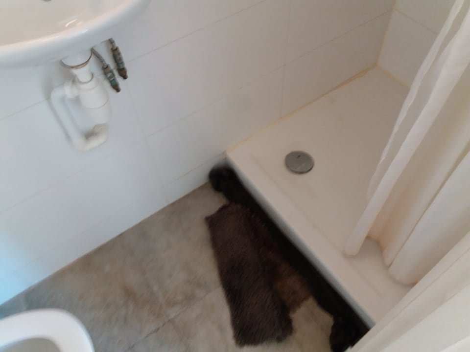 Zimmer Apartments Top Location Studio