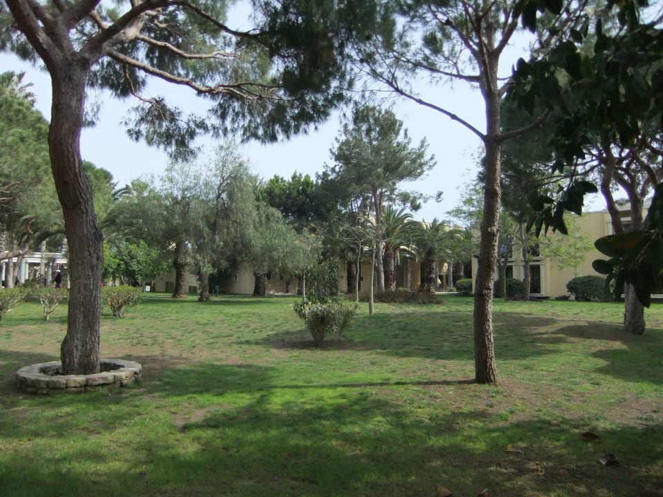 Außenanlage TUI Magic Life Belek