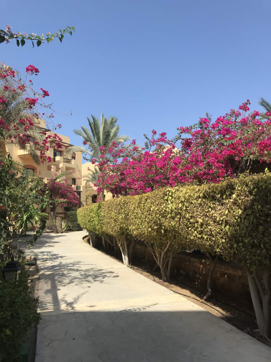 Sonstiges Steigenberger Coraya Beach - Adults only