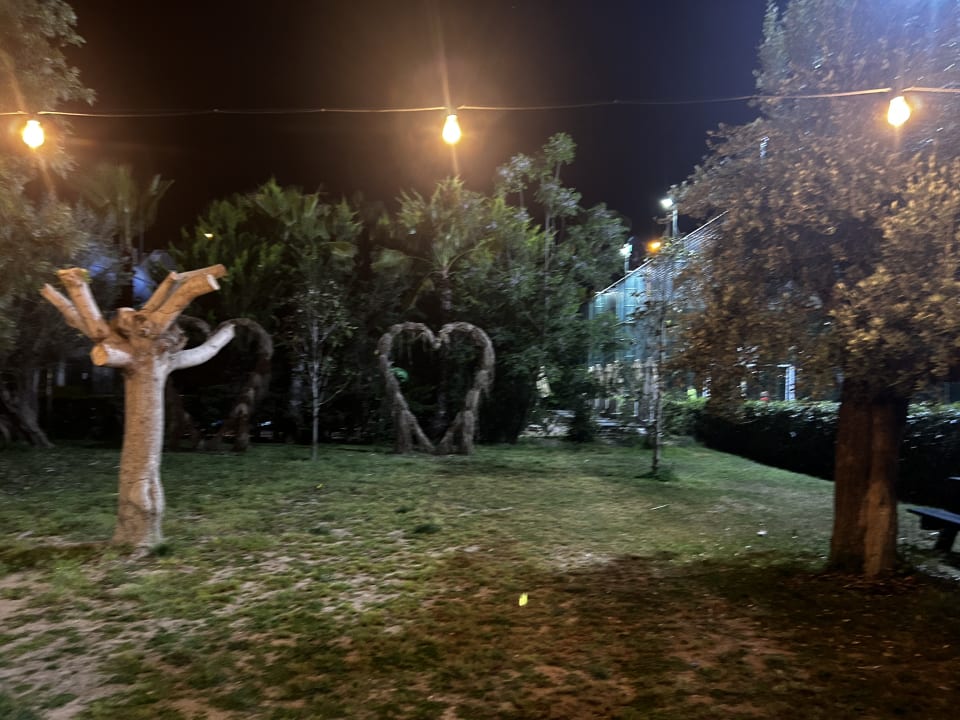 Gartenanlage Hane Family Resort