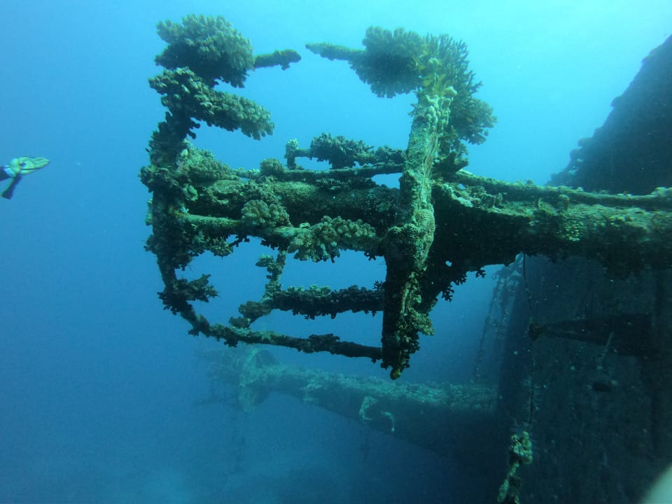 Sport & Freizeit ROBINSON SOMA BAY