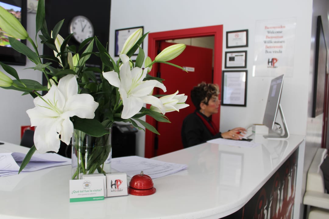 Lobby Hotel Del Pintor