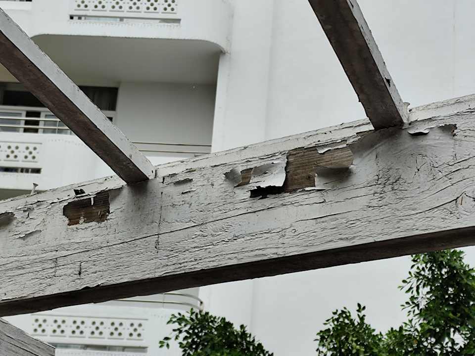 Gartenanlage Abora Catarina by Lopesan Hotels