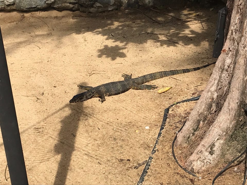 Sonstiges Moracea by Khao Lak Resort