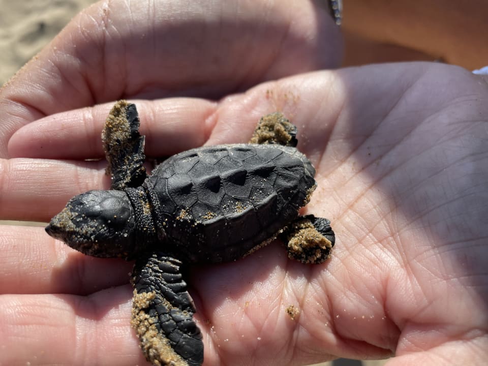 Strand Anemos Luxury Grand Resort