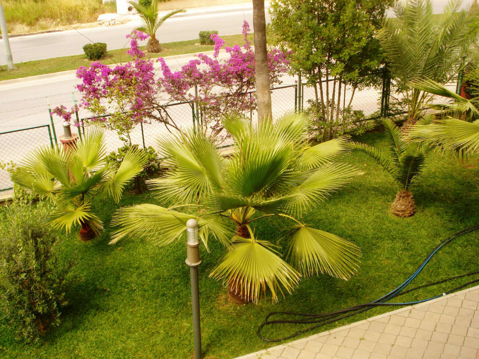 Gartenanlage Hotel Orfeus Park