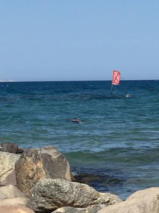 Ich kurz vor meinem Tauchgang Desert Rose