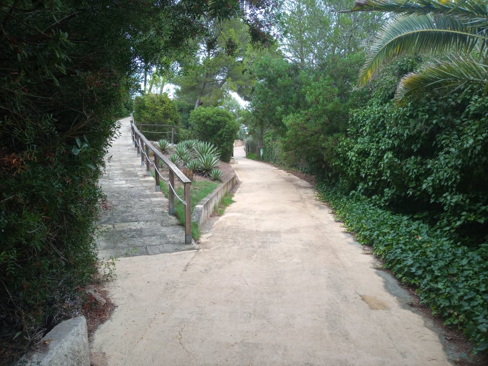 Gartenanlage Hotel Exagon Park