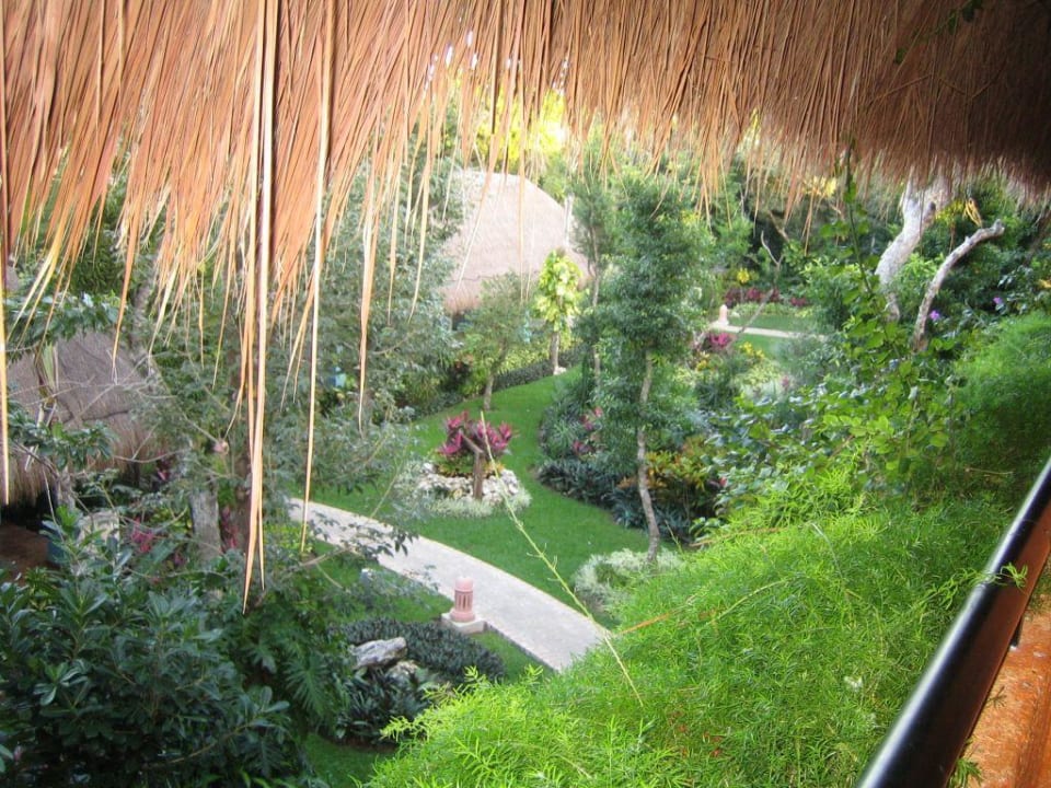 Blick vom Bungalow Iberostar Waves Tucan