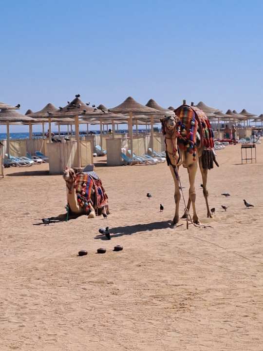 Strand Hurghada Long Beach Resort