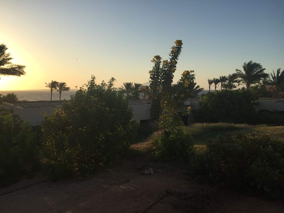 Ausblick Parrotel Beach Resort