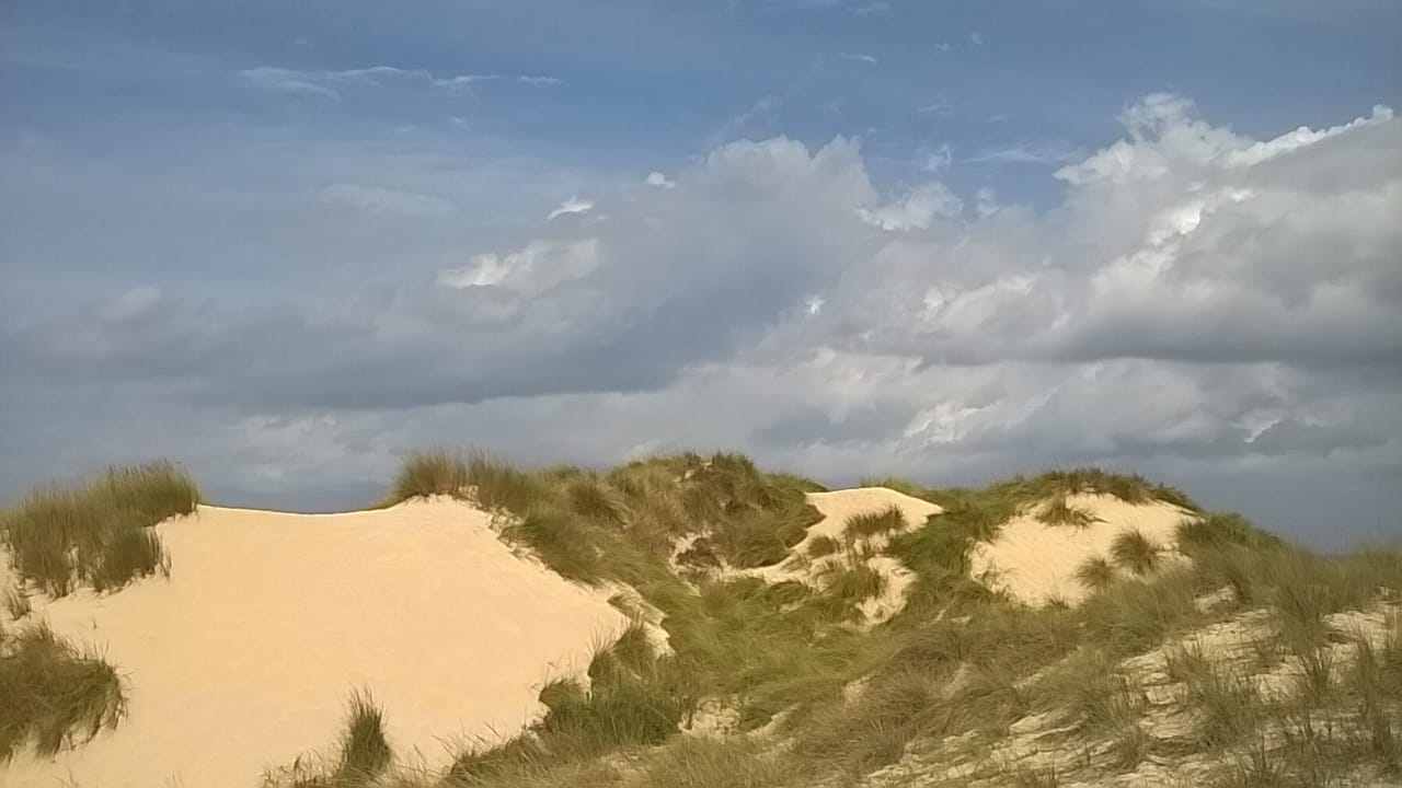 Ausblick VIVA Cala Mesquida Resort & Spa