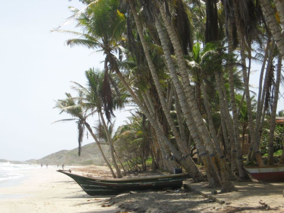 Playa Aqua Hotel Palm Beach