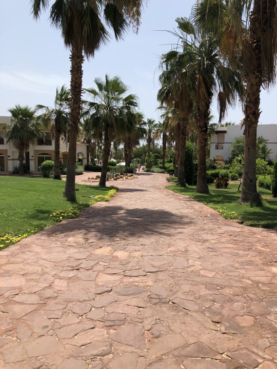 Gartenanlage Amphoras Blu