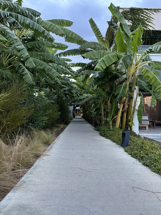 Außenansicht Paloma Finesse