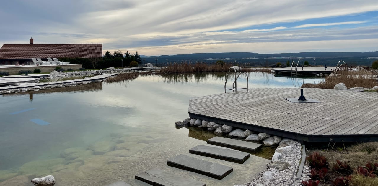 Pool Der Birkenhof - Spa & Genuss Resort