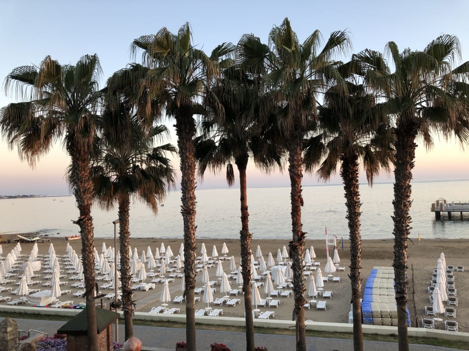 Strand Arum Barut Collection