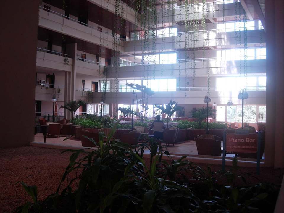 Hauptbar Blau varadero - Adults only