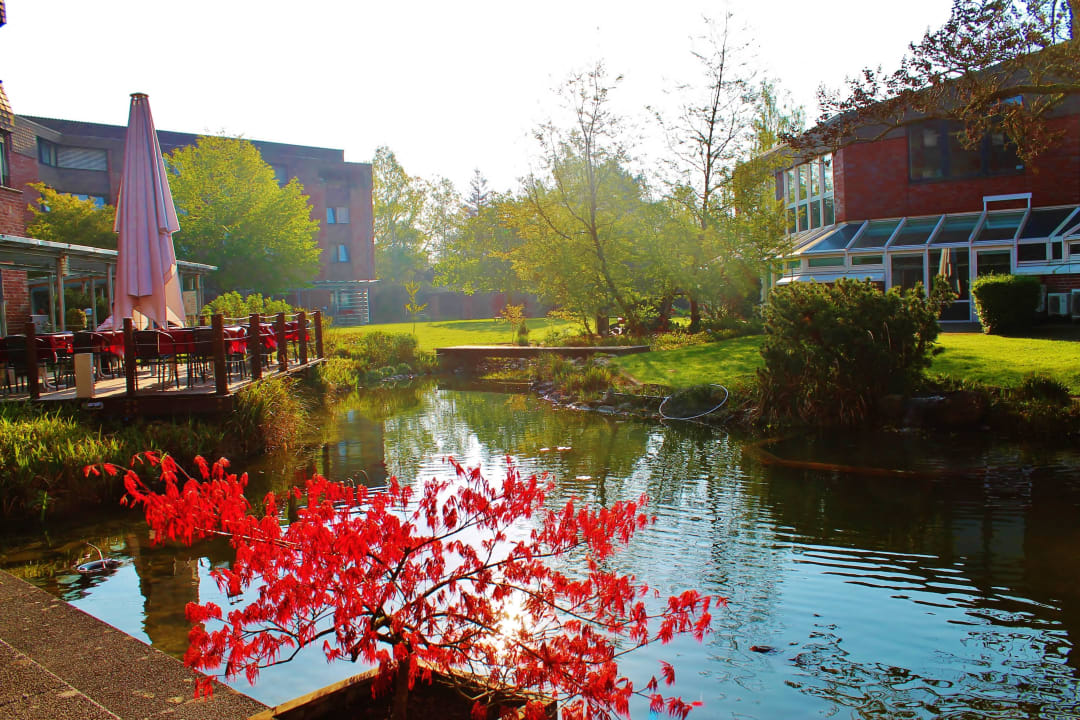 Ausschnitt vom Garten des GSI GSI Hotel Bonn