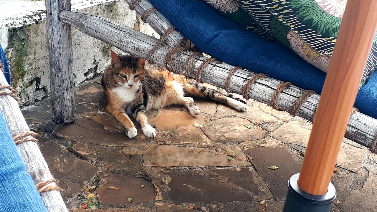 Sonstiges Spice Island Hotel & Resort