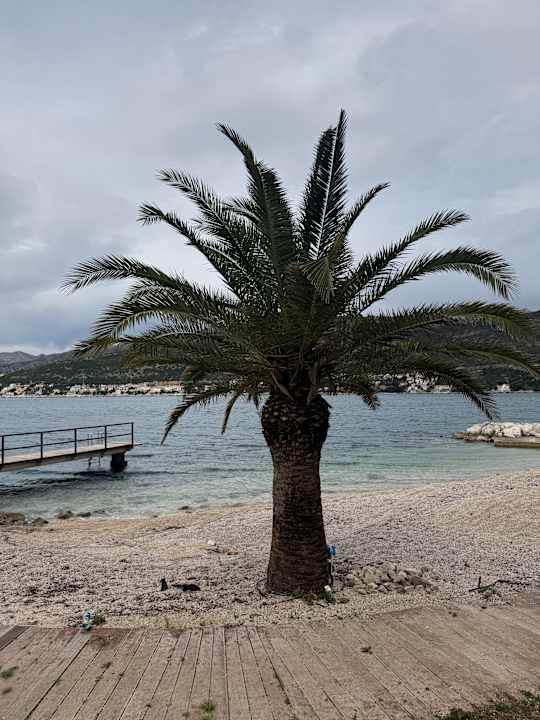 Strand Royal Hotels & Resort - Hotel Royal Ariston