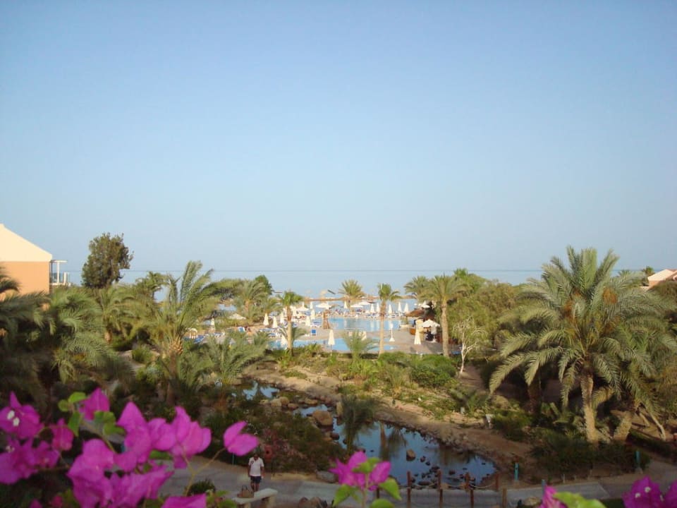 Gartenanlage mit Pool Mövenpick Resort & Spa El Gouna