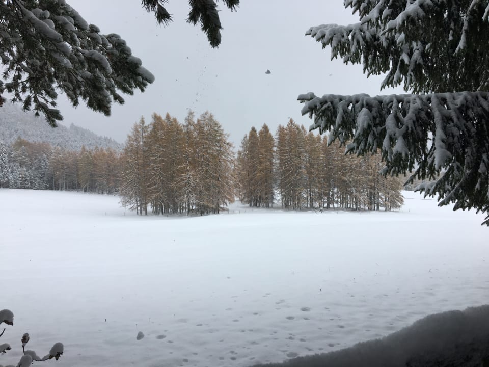 Sonstiges Bio-Wellnesshotel Holzleiten